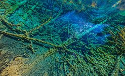 Jiuzhaigou #11