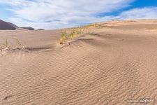 Hongoryn Els (&#34;Singing Sands&#34;)