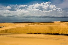 Len&#231;&#243;is Maranhenses National Park #11